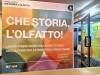FNM che storia l'olfatto - ingresso