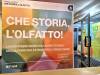 FNM che storia l'olfatto - ingresso